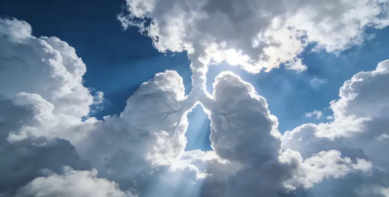 海东肺癌靶向39基因检测（组织）检测图1