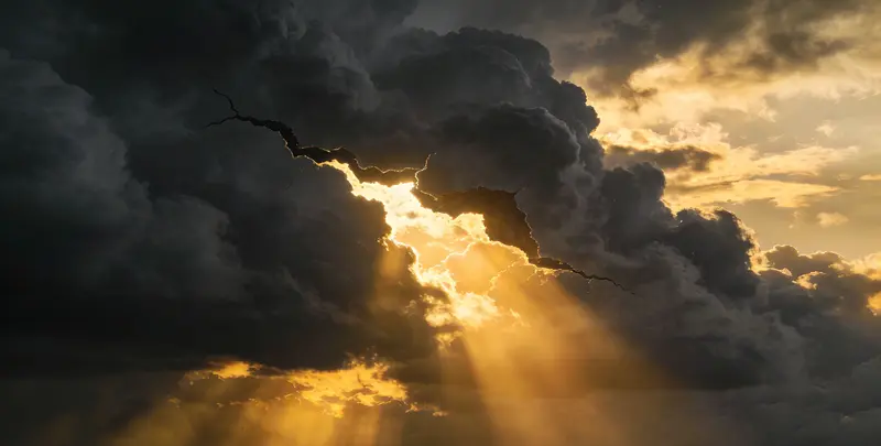 海东肺癌13基因突变检测（组织）检测图1