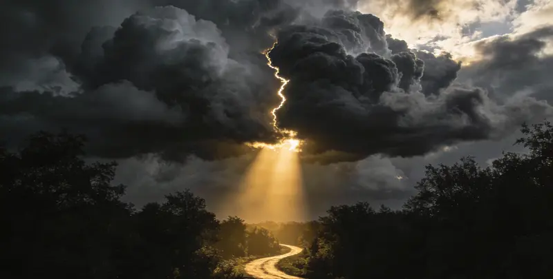 肺癌13基因突变检测（组织）图3