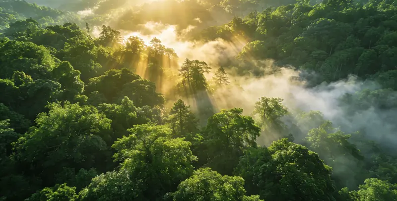 海东肺癌12基因ctDNA突变检测(血液）检测图1