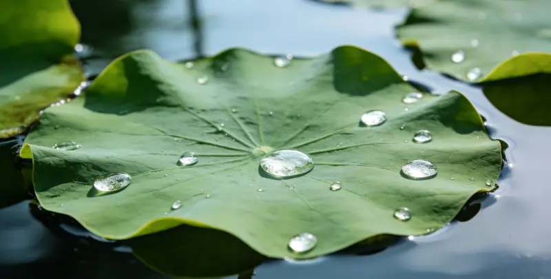 海东乳腺/卵巢癌靶向120基因检测及PDL122C3表达检测套餐（组织）检测图1