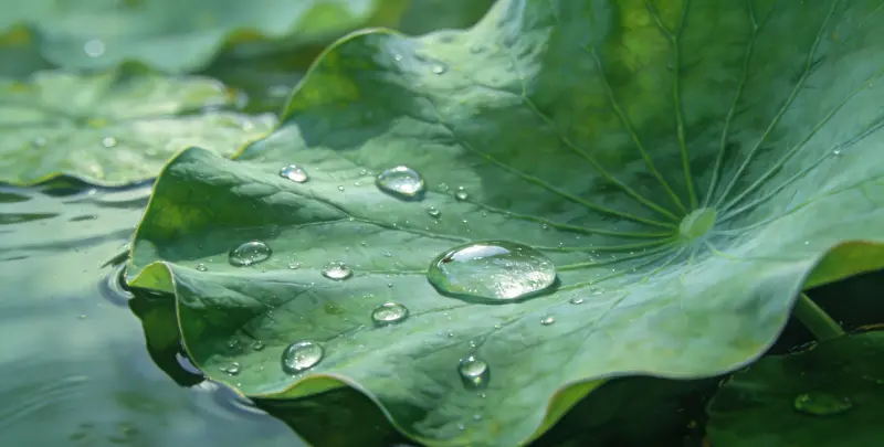 乳腺/卵巢癌靶向120基因检测及PDL122C3表达检测套餐（组织）图4